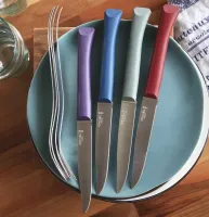 Couteaux de table bon appétit, Opinel (1)